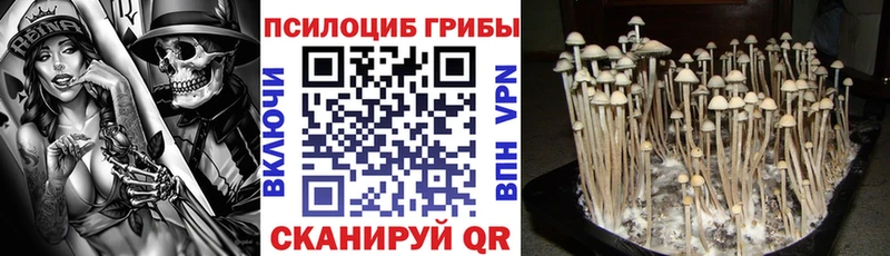 ОМГ ОМГ зеркало  Электроугли  Галлюциногенные грибы Psilocybe 
